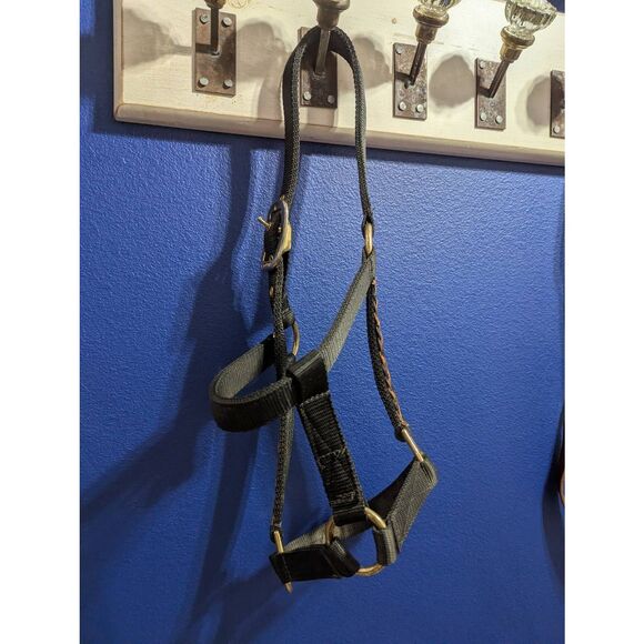 Ronmar Arabian Horse Halter - Picture 5 of 7